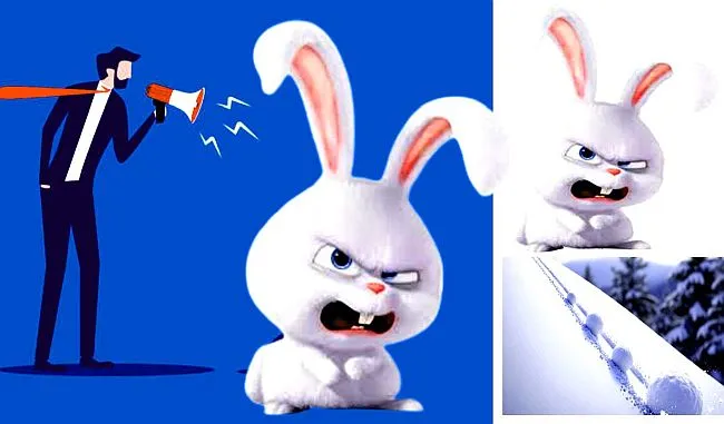 Trapped in a Loop: The Unstoppable Snowball of Soaring Car Prices Snowball